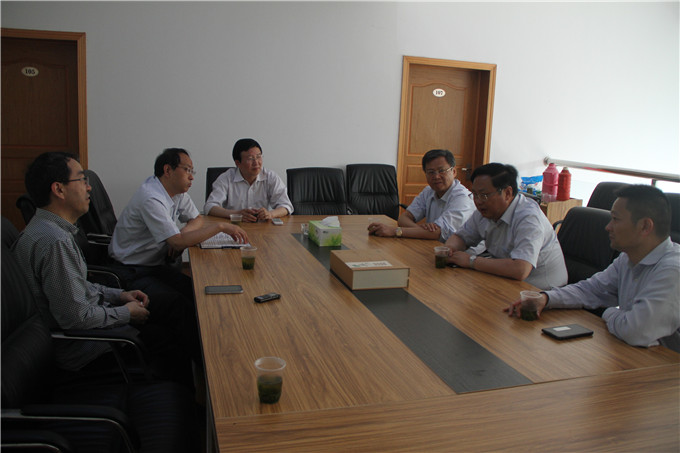 王正喜调研江宁G13地块和苏豪蚕种开元网页版